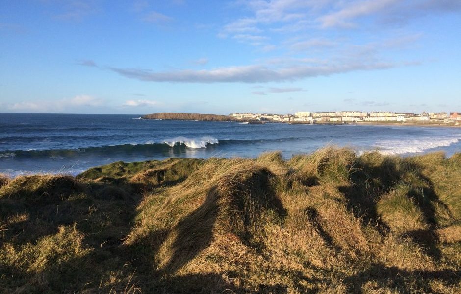 Image of coast and dunes